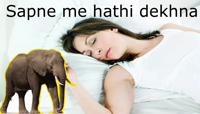 Sapne me hathi dekhna ka matlab