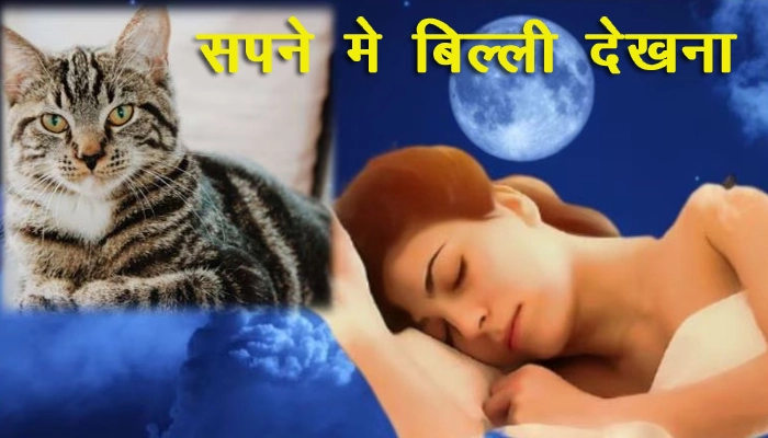  sapne me billi dekhna